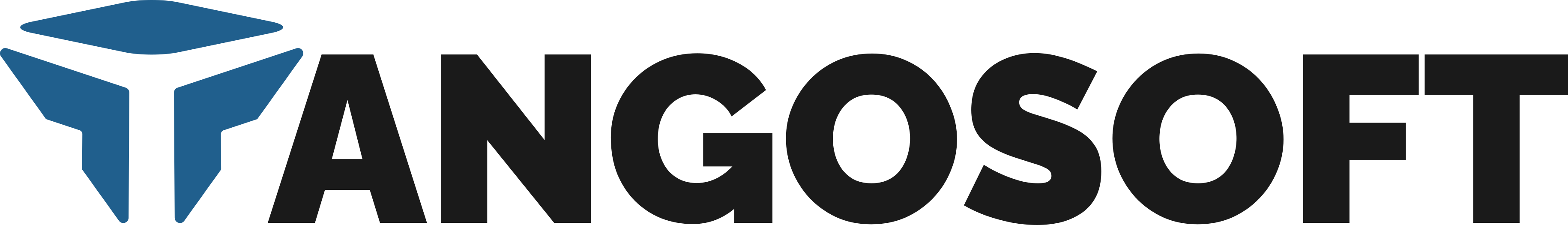 Tangosoft SAS